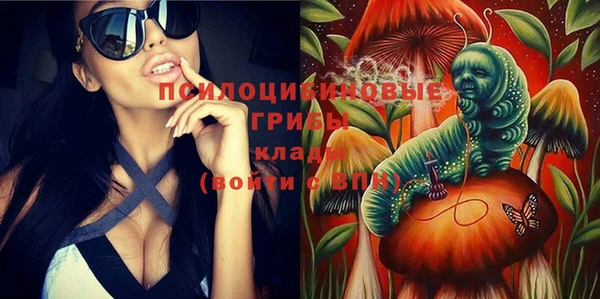 прущий лед Лиски