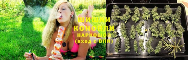ГАЛЛЮЦИНОГЕННЫЕ ГРИБЫ Лихославль