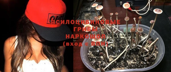 spice Липки