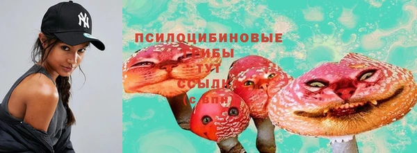 ГАЛЛЮЦИНОГЕННЫЕ ГРИБЫ Лихославль