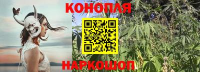 трава Заводоуковск