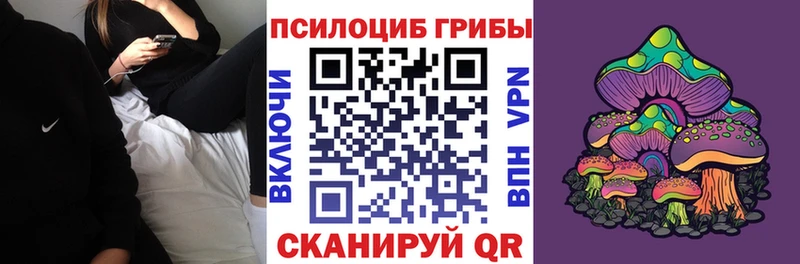 Псилоцибиновые грибы Psilocybine cubensis Тара