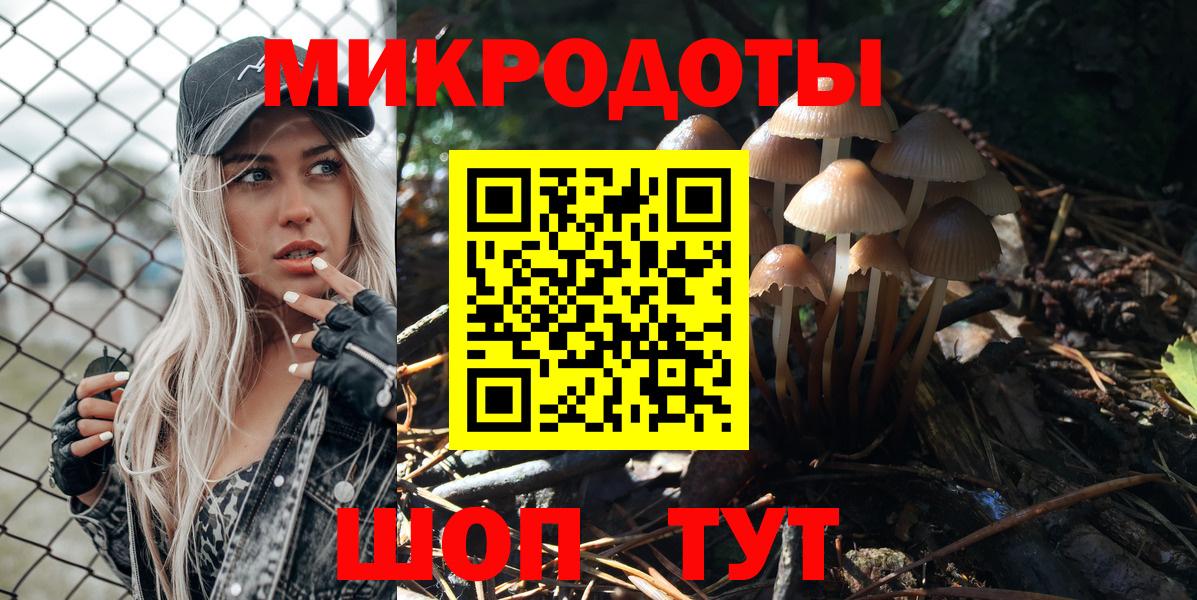 Псилоцибиновые грибы мицелий Тара
