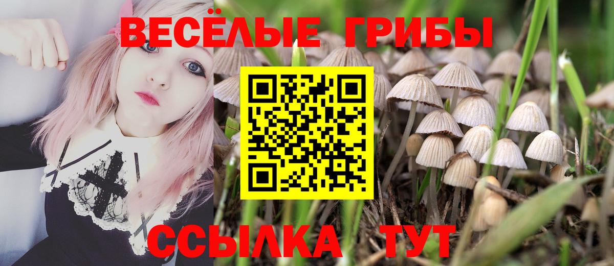 Псилоцибиновые грибы Cubensis  Вход с VPN  Псилоцибиновые грибы GOLDEN TEACHER  Тара 
