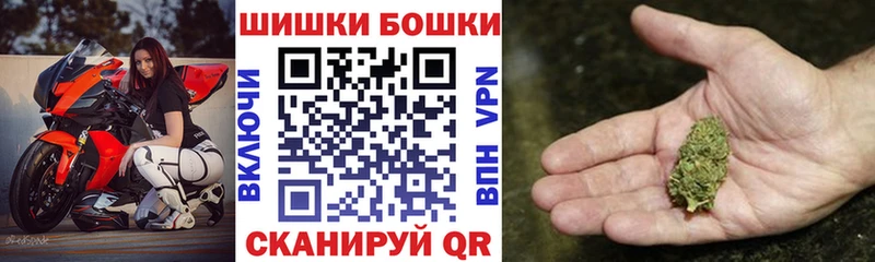 Марихуана сатива  дарнет шоп  Тара 
